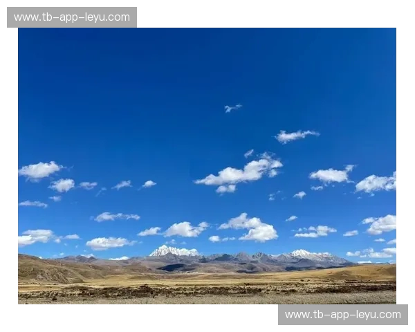 当清澈心跳邂逅斑斓大阪：一场跨越时空的味蕾与灵魂碰撞